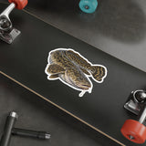 Trophy Burbot Fishing Decal | Kenders Outdoors™