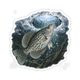 Ice Hole Crappie Fishing Decal | Kenders Outdoors™