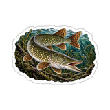 Ambush Pike Fishing Decal | Kenders Outdoors™