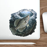 Ice Hole Crappie Fishing Decal | Kenders Outdoors™