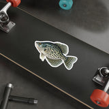 Slab Crappie Fishing Decal | Kenders Outdoors™