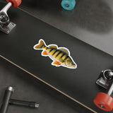 Jumbo Yellow Perch Fishing Decal | Kenders Outdoors™