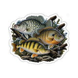 Panfish Grand Slam Fishing Decal | Kenders Outdoors™