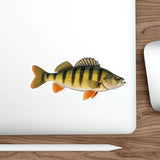 Jumbo Yellow Perch Fishing Decal | Kenders Outdoors™