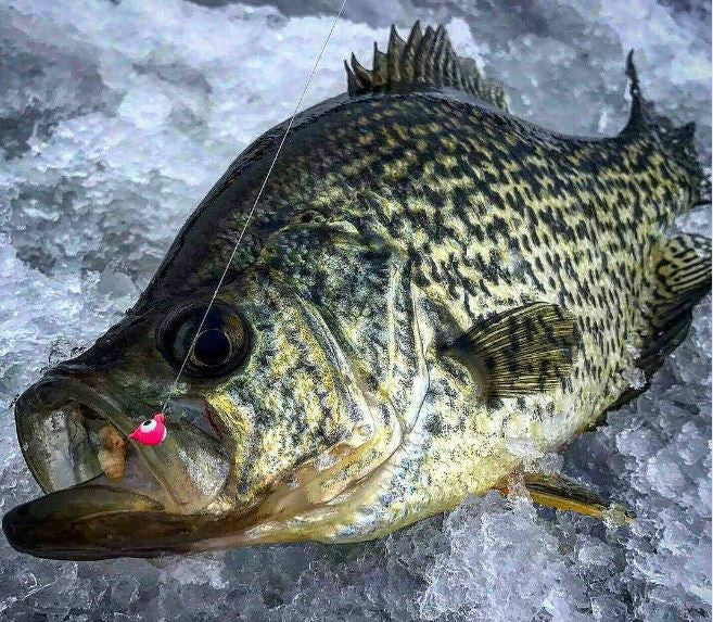 BRIGHT PINK GLOW TUNGSTEN JIG – Kenders Outdoors
