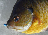 DARK BLUE GLOW TUNGSTEN JIG - Kenders Outdoors