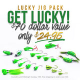 19 PIECE LUCKY JIG PACK