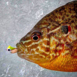 ORANGE/YELLOW GLOW TUNGSTEN JIG - Kenders Outdoors