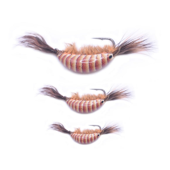 BROWN TUNGSTEN GLOW NATURAL SHRIMP SERIES